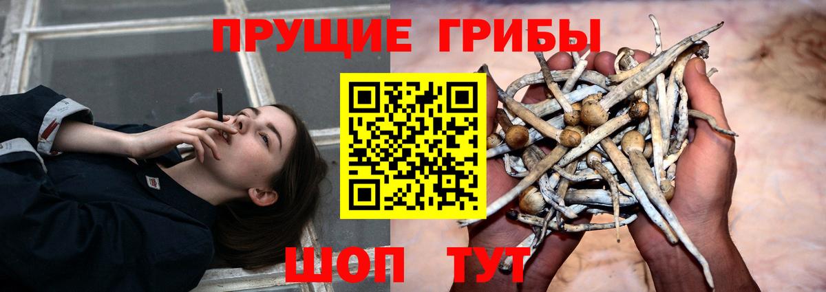 Псилоцибиновые грибы Magic Shrooms Лабытнанги